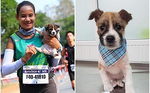 跑馬拉松看見浪浪順手撿起　抱著跑30公里後帶回家收編