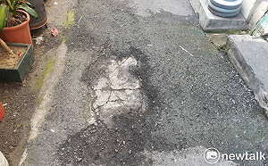 黃敏惠班師回朝　嘉義市政府可望恢復1999專線 