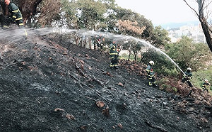 快訊》台北市劍南路下午驚傳火燒山 警消全力灌救中！