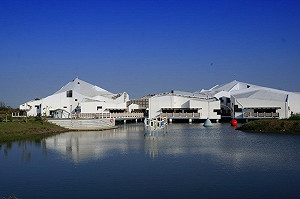 春節走春出遊 國家公園不打烊