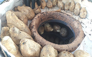 新春免費烤地瓜結緣  集集鎮國寺歡迎來拜佛