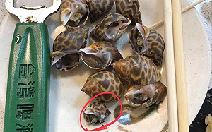 去旗津旅遊被當「潘子」 韓國瑜怒：列不推薦名單