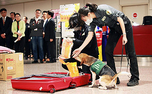 春節連假旅客多　7外國客攜肉入境遭遣返