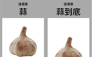 王金平貼圖「蒜到底」 重申未參與「換柱」