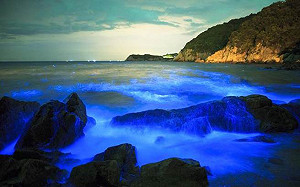 藍眼淚三月開始閃爍！馬祖季節限定美景攻略大全