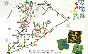 桃園龍潭「戀戀魯冰花」16日登場　交通、接駁資訊看這裡