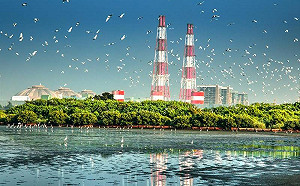 環團反空污怒吼 不滿濕地建燃氣機組