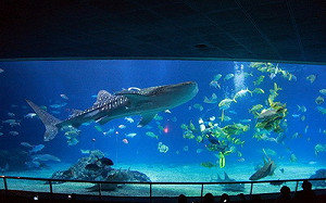 議員爆料海生館不蓋了 基市府 : 誤導視聽