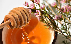 蜂蜜哪裡來？讓高科技養蜂曆告訴你