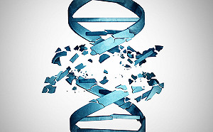 長期睡眠不足　恐降低DNA自我修復能力