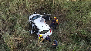 流浪貓命更寶貴?  駕駛閃避不慎墜橋