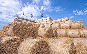 隱藏版景點大揭密！季節限定「稻草金字塔」超療癒