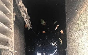 東南客運內湖站上月漏油 黃國昌前往現場「還有油污」