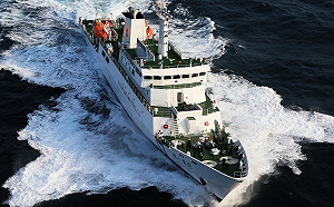 「穩鵬」喋血巡護八號馳援 船長等3台人跳船獲救