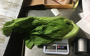 6件蔬果農藥殘留超標！大倉久和辣椒、家樂福蓮霧皆上榜