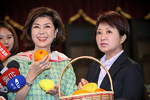 白嘉莉回來了！ 畫展及新書發表都要辦在台中