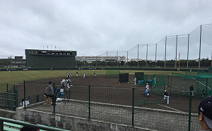 職棒春訓經濟達百億！台要複製　日球團職員坦言：很困難