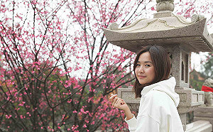 新北精選三處賞櫻攻略景點part 1：林口竹林山觀音寺