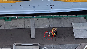 碼頭姑娘搭郵輪遲到 「公車式招手」讓船長秒放生