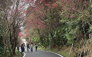 春天就是要出去玩！全台22縣市春遊補助出爐