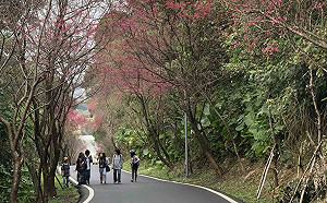連假旅遊　搭國道客運票價最高5折、台高鐵轉乘也有減免