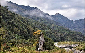 連假春遊踏青訪尖石　峭壁巧奪天工浮現原住民輪廓
