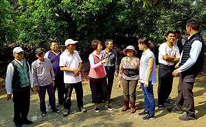 陳亭妃反映龍眼荔枝不開花  農委會接地氣公告災損救助