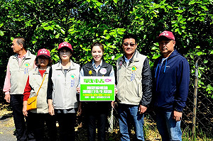 陳筱諭質疑謝龍介  找盤商賣文旦能發大財？