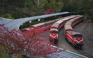 阿里山花季3/9開跑！季節限定主題列車帶你深入秘境