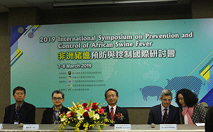 非洲豬瘟疫苗仍無解？國際流行病學家：還要等非常久的時間