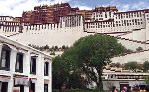 西藏抗暴60週年　陸委會呼籲中國以仁義治理才能獲民心