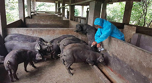 每年花10億養轄下財團法人農業肥貓？農委會出面解釋了