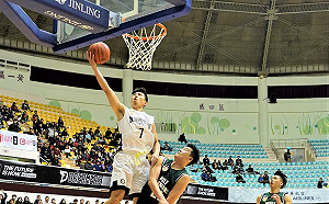 ABL／陳金鋒開球　夢想家大勝澳門戰狼本季第2度6連勝