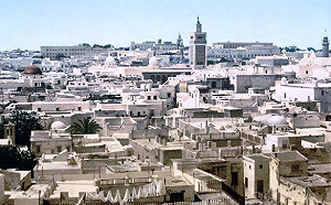 24小時內11嬰離奇死亡 突尼西亞衛生部長請辭