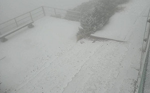 (影)玉山又飄「三月雪」！2小時積雪2.5公分