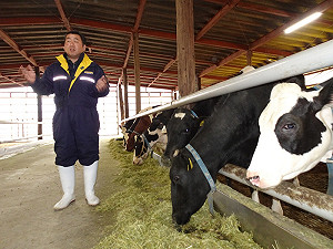 福島酪農談核災　要把消失130頭乳牛養回來