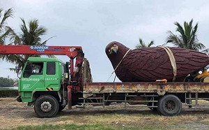 台灣燈會落幕驚現「擄鴿集團」！老鷹黑人問號臉網友笑炸