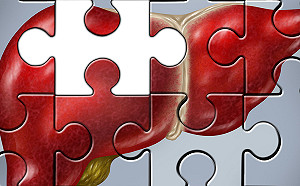 肝癌晚期預後差　新一代標靶藥物提高生活品質