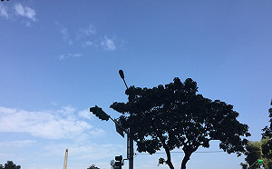 立委補選日好天氣！全台白天氣溫回升直衝28度