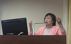 凌友詩讚兩岸統一綠委酸「高雄怎麼了？」 徐國勇：朝取消戶籍處理