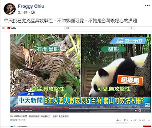 為捧貓熊醜化台灣石虎  呱吉怒嗆：不愧是台灣最噁心媒體
