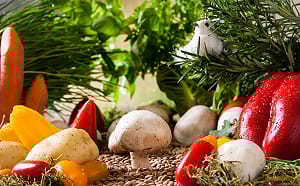 價格高昂、仰賴進口　台灣洋菇種植技術、設備進軍菲律賓