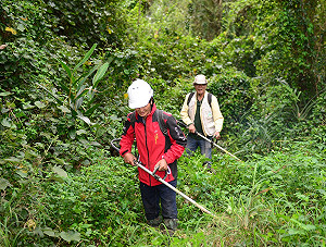 海管處積極營造保安林！活化「海岸綠色長城」
