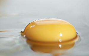 土雞蛋比較營養？央視「土雞蛋的秘密」揭露不肖手法