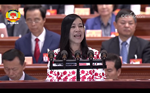 擔任政協委員高調促統  凌友詩被罰50萬元：保留申訴權利