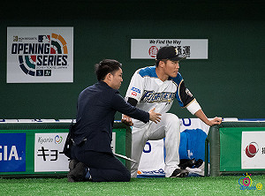 火腿、運動家交流戰　王柏融扛第五棒指定打擊