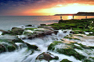 季節限定必拍美點！全台2處綠石槽美景錯過要等明年