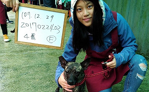 尋找溫暖的家　明星毛寶貝開放認養