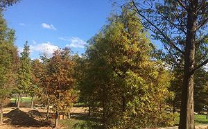 又悶又熱！高溫恐飆破36°C  慎防過量紫外線