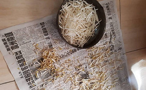 豆芽菜為何要「去頭去尾」？老饕揭背後驚人秘密